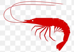 Seafood Shrimp Lobster Clam Clip Art, Png, 500x500px, Crab, Clip Art 