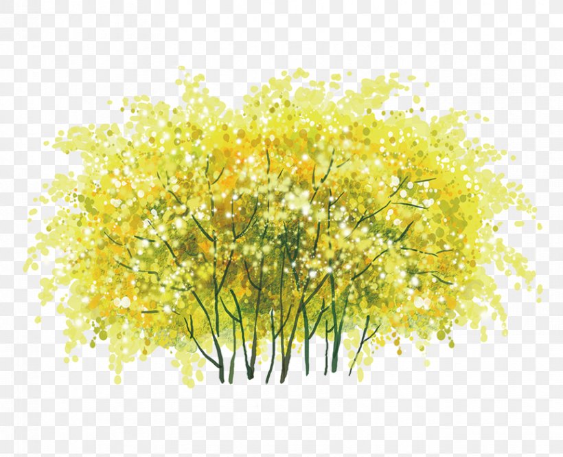 Yellow Floral Design Tree, PNG, 862x700px, Yellow, Branch, Cut Flowers, Designer, Flora Download Free