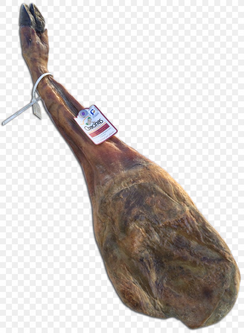 Black Iberian Pig Chacinas De Villanueva SL Ham Jamón Ibérico Meat, PNG, 1139x1554px, Black Iberian Pig, Acorn, Animal Source Foods, Bayonne Ham, Chorizo Download Free