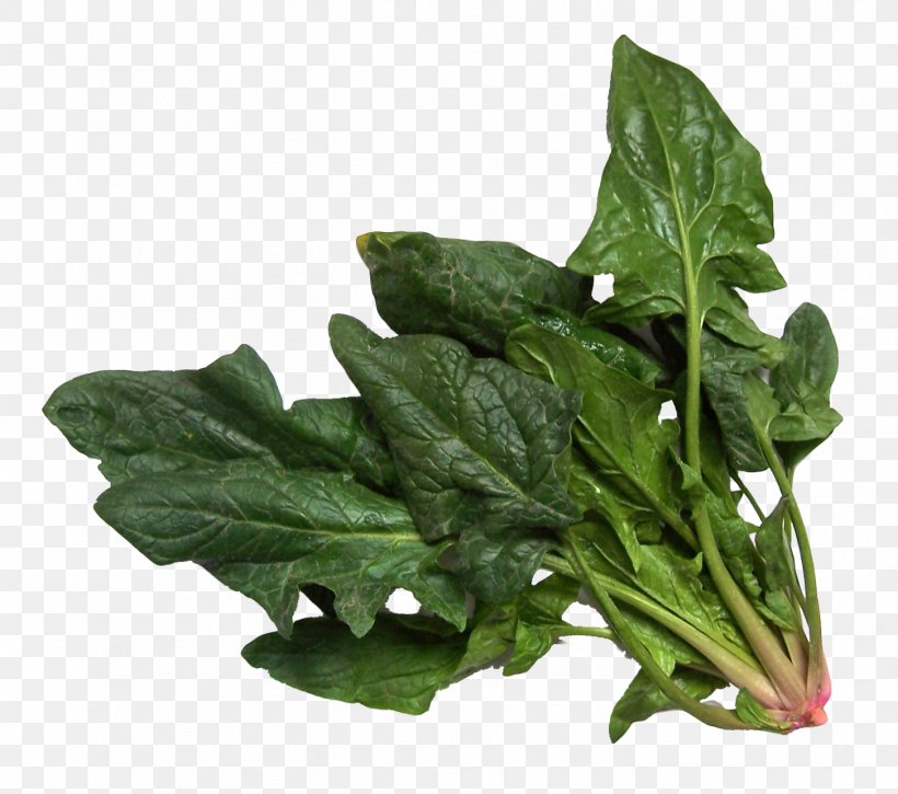 Spinach Salad Vegetable Image, PNG, 1453x1286px, Spinach, Arugula, Chard, Choy Sum, Flower Download Free