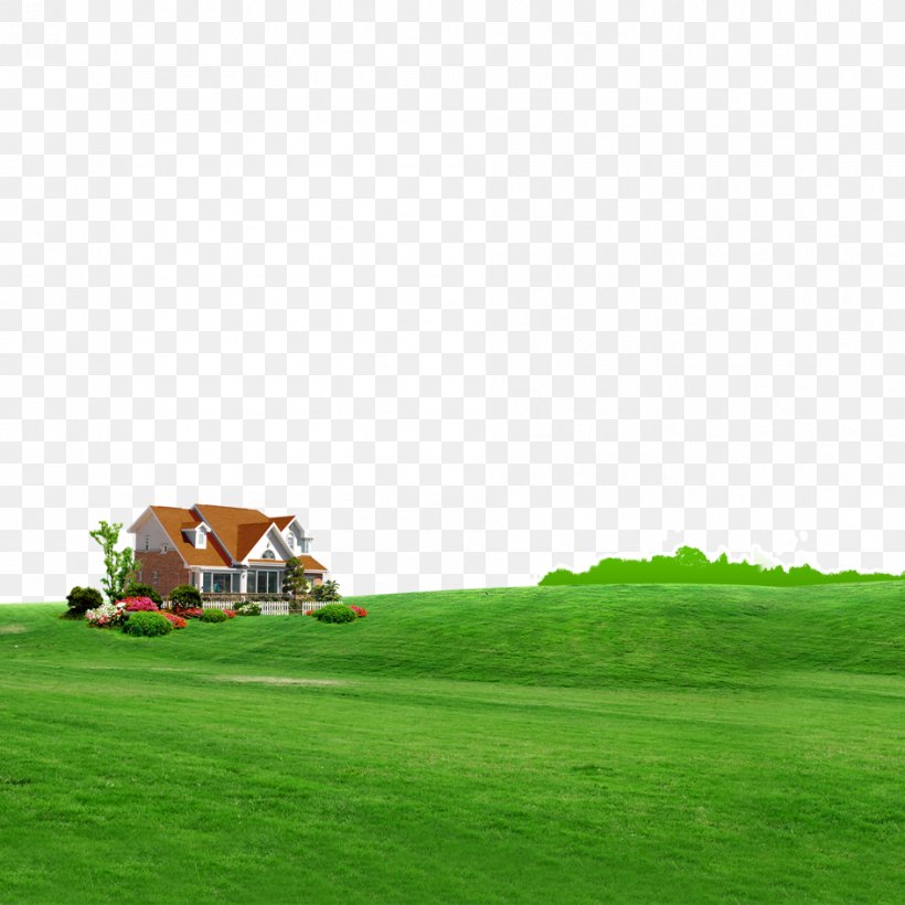 Green Grassland Wallpaper, PNG, 945x945px, Green, Computer, Energy, Farm, Field Download Free