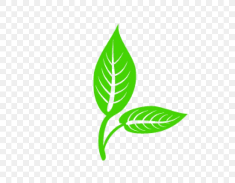 Logo Leaf Vector Graphics Clip Art Euclidean Vector, PNG, 640x640px, Logo, Art, Cartoon, Green, Leaf Download Free