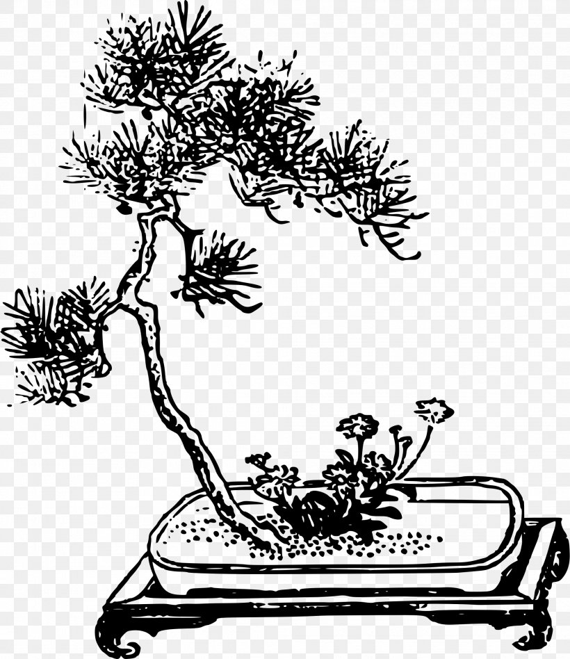 Bonsai Tree Penjing Plant Clip Art, PNG, 2074x2400px, Bonsai, Art, Artwork, Black And White, Branch Download Free