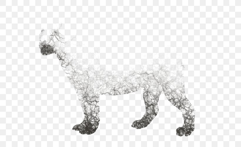 Cat Dog Mammal Drawing Carnivora, PNG, 640x500px, Cat, Animal, Art, Big Cat, Big Cats Download Free