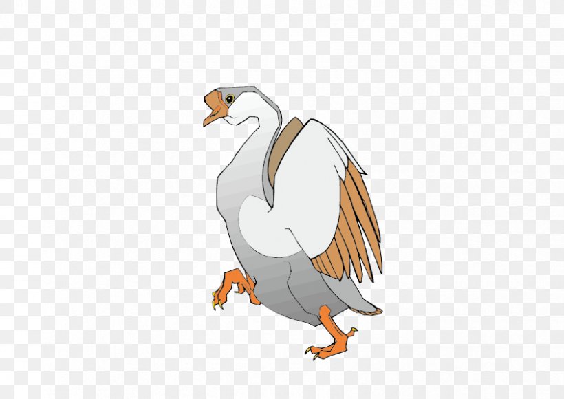 Cygnini Cartoon, PNG, 842x596px, Cygnini, Anatidae, Beak, Bird, Bird Of Prey Download Free