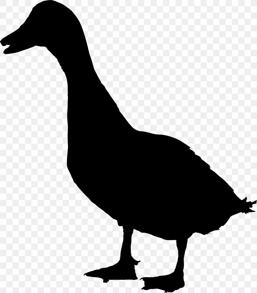 Duck Goose Sticker Mallard Clip Art, PNG, 2535x2901px, Duck, American Black Duck, Beak, Bird, Bumper Sticker Download Free