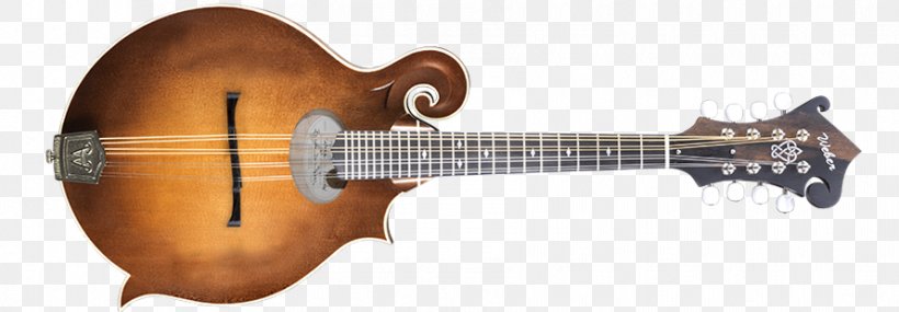 Acoustic-electric Guitar Mandolin Acoustic Guitar, PNG, 890x310px, Watercolor, Cartoon, Flower, Frame, Heart Download Free