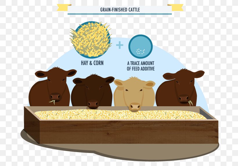 Cattle Food Cartoon, PNG, 715x575px, Cattle, Cartoon, Cattle Like Mammal, Food, Livestock Download Free