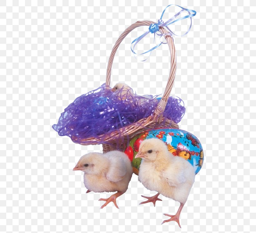 Easter Bunny Easter Basket Clip Art, PNG, 490x745px, Easter Bunny, Basket, Beak, Bird, Bird Supply Download Free