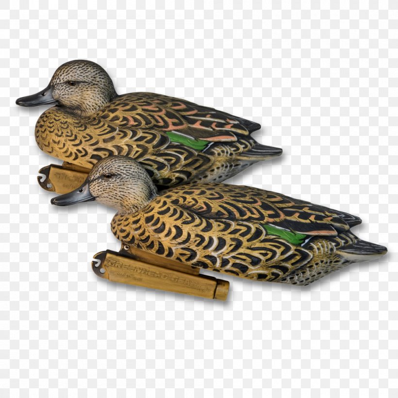 Mallard Duck Fauna Beak, PNG, 1000x1000px, Mallard, Beak, Bird, Duck, Ducks Geese And Swans Download Free