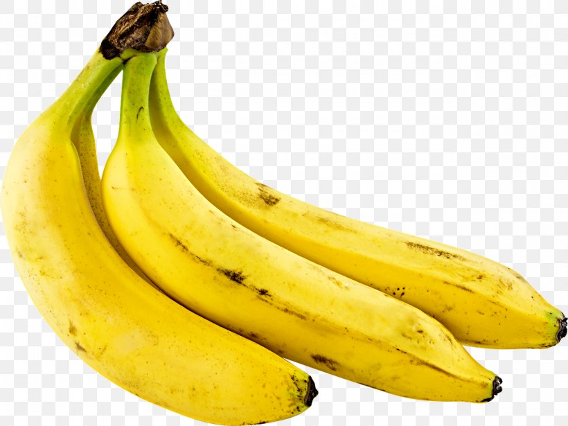 Banana Pudding Download, PNG, 1280x960px, Banana Pudding, Banana, Banana Custard, Banana Family, Banana Leaf Download Free