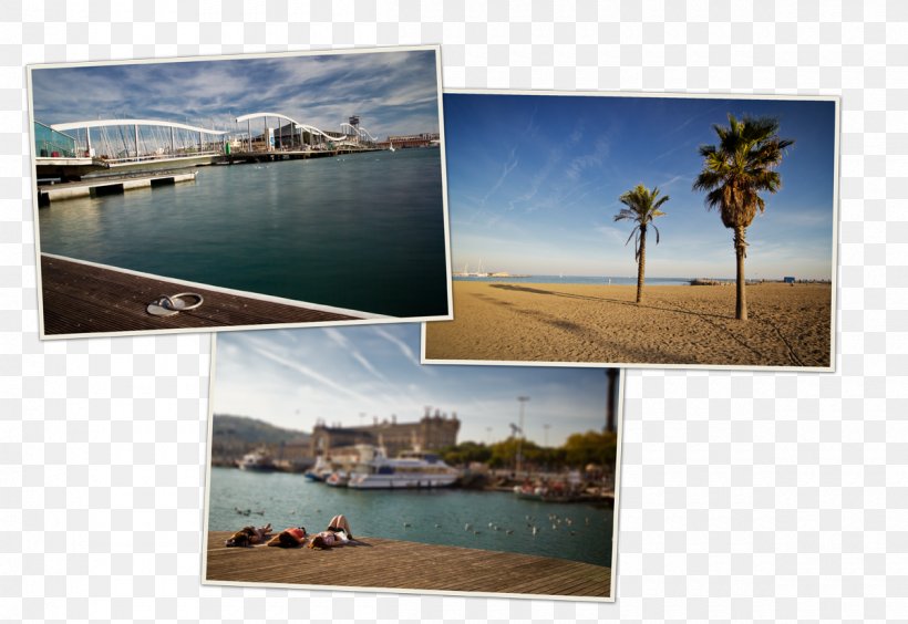 Barcelona Vacation Churro Blog Collage, PNG, 1200x826px, Barcelona, Beach, Blog, Churro, Collage Download Free