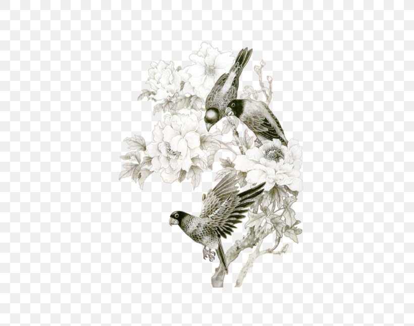 Bird Parrot Clip Art, PNG, 500x645px, Bird, Beak, Branch, Fauna, Feather Download Free