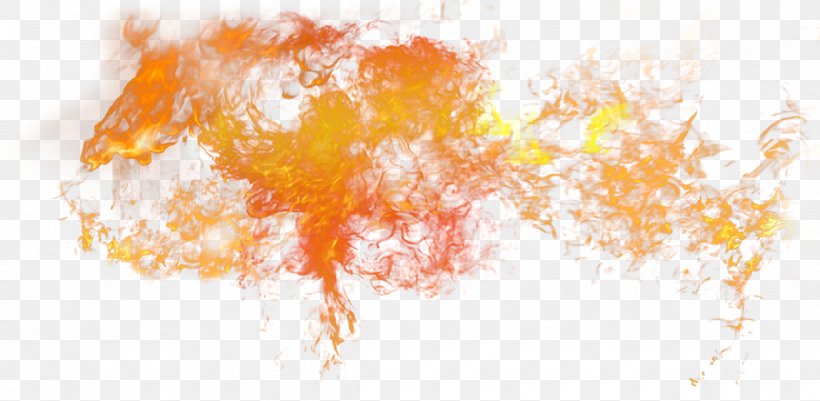 Fire Computer File, PNG, 1242x608px, Fire, Computer Graphics, Flame, Gratis, Orange Download Free