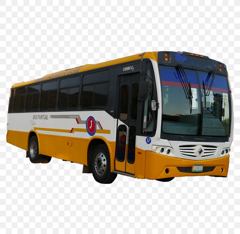 Tour Bus Service Car Transport Commercial Vehicle, PNG, 800x800px, Tour Bus Service, Automotive Exterior, Bus, Car, Commercial Vehicle Download Free