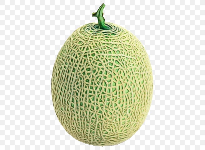 Melon Galia Muskmelon Cantaloupe Cucumber, Gourd, And Melon Family, PNG, 425x599px, Watercolor, Cantaloupe, Cucumber Gourd And Melon Family, Cucumis, Food Download Free