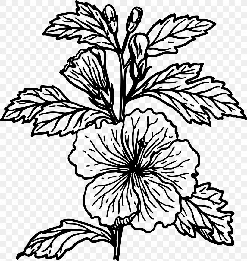 Hibiscus Drawing Flower Clip Art, PNG, 2274x2400px, Hibiscus, Artwork, Black And White, Branch, Charcoal Download Free