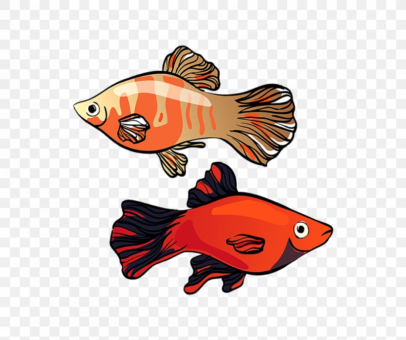 Illustration Clip Art Southern Platyfish Graphics, PNG, 940x788px, Platy, Aquarium, Fish, Fresh Water, Freshwater Fish Download Free