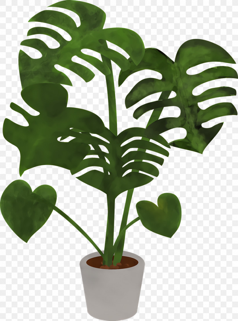 Leaf Plant Stem Houseplant Flowerpot Tree, PNG, 948x1280px, Leaf, Biology, Flowerpot, Houseplant, Plant Stem Download Free