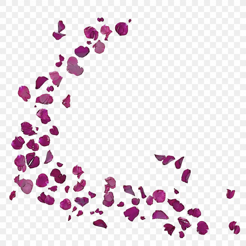 Pink Violet Purple Magenta Heart, PNG, 1600x1600px, Pink, Heart, Magenta, Petal, Plant Download Free