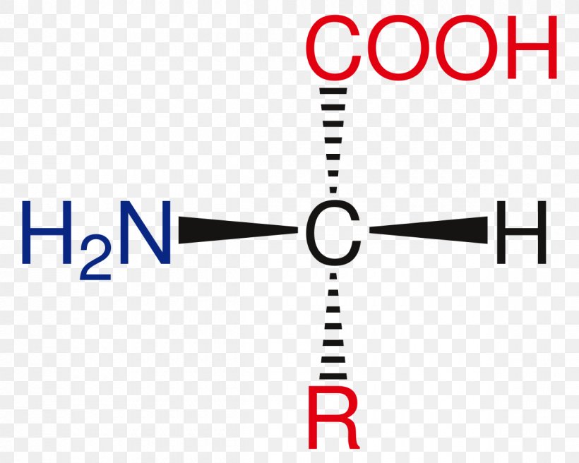 2-Butene Chemical Compound Methyl Group Isobutanol, PNG, 1200x960px, Butene, Acid, Amine, Amino Acid, Area Download Free