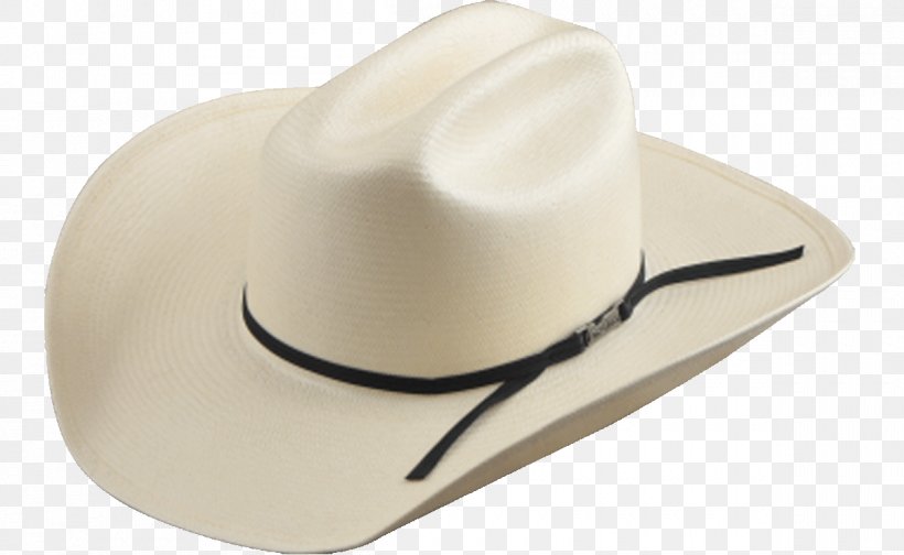 American Hat Company Straw Hat, PNG, 1200x738px, Hat, American Hat Company, Americans, Color, Fashion Accessory Download Free