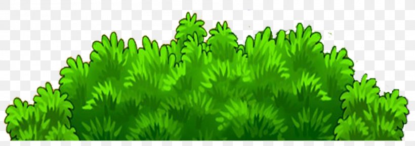 Animaatio Clip Art, PNG, 1600x567px, Animaatio, Commodity, Drawing, Gimp, Grass Download Free