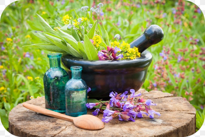 Herbalism Essential Oil Health Care, PNG, 975x650px, Herb, Cure, Essential Oil, Flower, Flowerpot Download Free