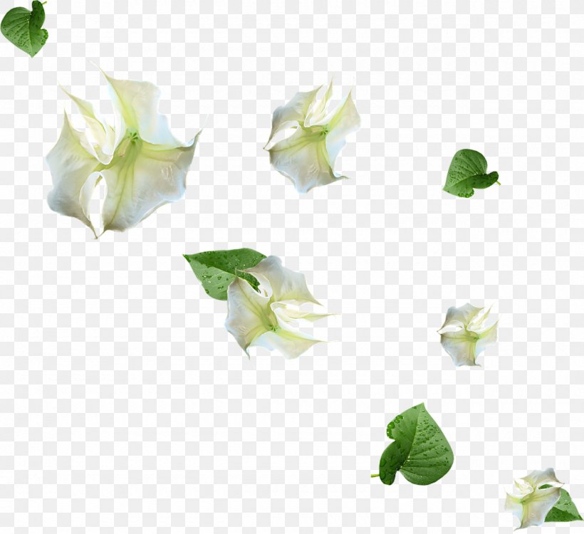 Image Design Illustration Petal, PNG, 1280x1172px, Petal, Designer, Flower, Flowering Plant, Internet Download Free