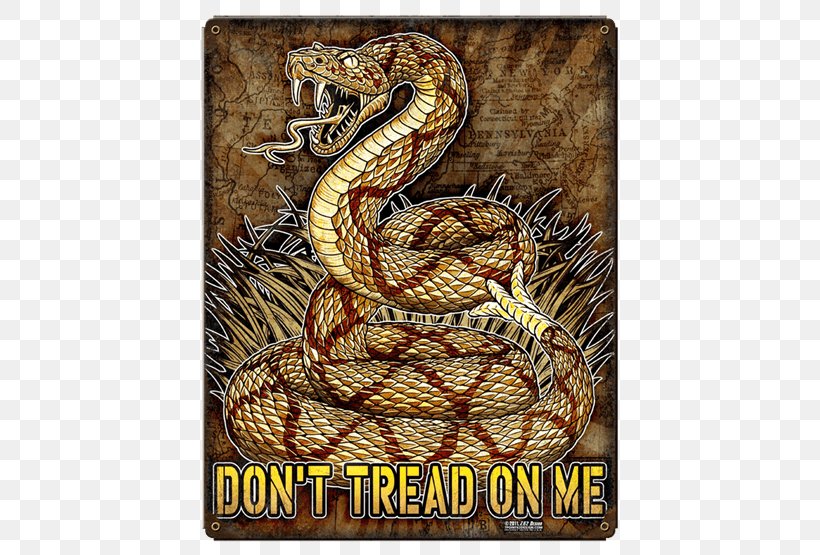 Rattlesnake Gadsden Flag Military Second Amendment To The United States Constitution Michael, PNG, 555x555px, Rattlesnake, Art, Challenge Coin, Deviantart, Fan Art Download Free