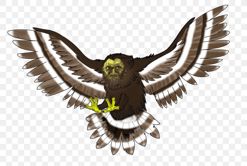 Eagle Owl Fauna Hawk Beak, PNG, 785x554px, Eagle, Beak, Bird, Bird Of Prey, Falcon Download Free