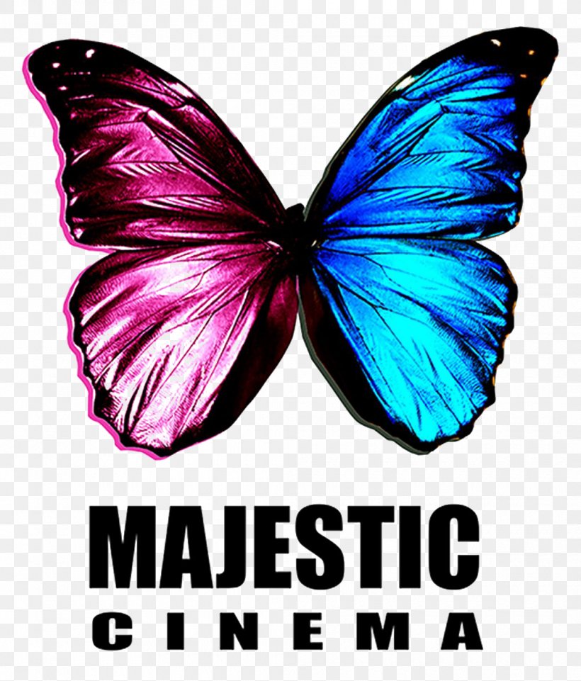 Majestic Cinema, King's Lynn Film Television Channel, PNG, 1040x1220px, Film, Art, Art Film, Brush Footed Butterfly, Butterfly Download Free