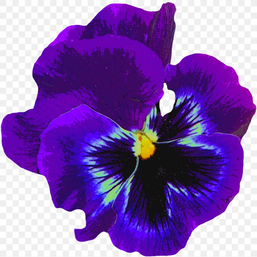 Pansy Flower Sweet Violet Purple, PNG, 1022x1024px, Pansy, Blue, Cattleya, Common Blue Violet, Flower Download Free