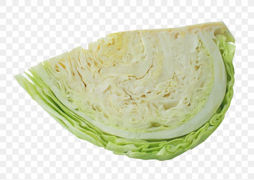 Cabbage Vegetarian Cuisine Vegetable, PNG, 1490x1058px, Cabbage, Cuisine, Dish, Food, Leaf Vegetable Download Free