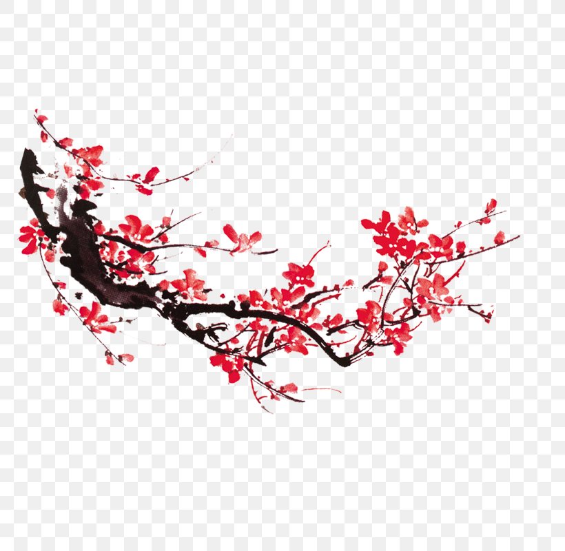 Flower Petal Icon, PNG, 800x800px, Flower, Blossom, Branch, Cherry Blossom, Flowering Plant Download Free