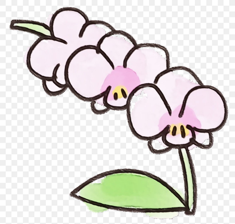 Plant Flower Herbaceous Plant, PNG, 800x784px, Watercolor Flower, Flower, Herbaceous Plant, Paint, Plant Download Free