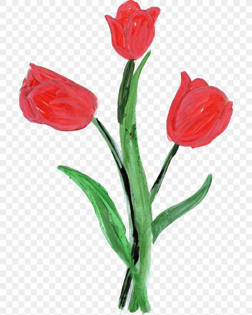 Tulip Microsoft Paint Flower Petal, PNG, 697x1024px, Tulip, Cut Flowers, De Gedichten, Flower, Flowering Plant Download Free
