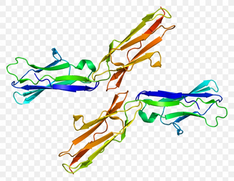 TYRO3 Protein Kinase Receptor Tyrosine Kinase, PNG, 909x702px, Watercolor, Cartoon, Flower, Frame, Heart Download Free