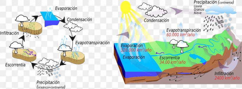 Water Balance Water Resources Hydrology Water Cycle, PNG, 1434x533px, Water Balance, Area, Body Of Water, Brand, Cuenca Download Free