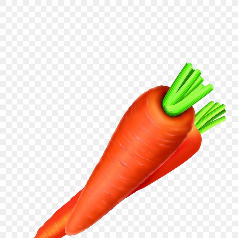 Carrot Vegetable Carotene Food Radish, PNG, 2953x2953px, Carrot, Baby Carrot, Bell Peppers And Chili Peppers, Betacarotene, Carotene Download Free