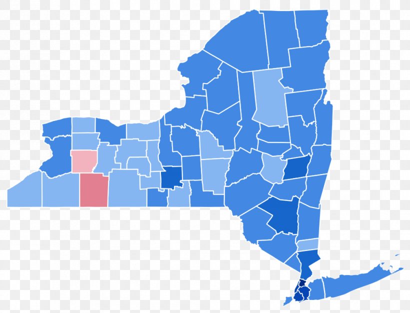 New York City New York Gubernatorial Election, 2010 US Presidential Election 2016 Democratic Party Political Party, PNG, 1006x768px, New York City, Area, Blue, Democratic Party, Election Download Free