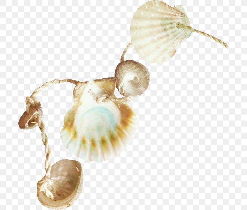 Seashell Ocean Clip Art, PNG, 700x697px, Sea, Beach, Blog, Body Jewelry, Digital Image Download Free