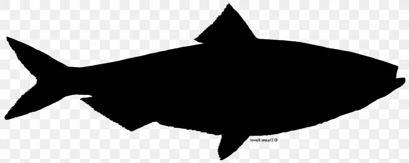 Shark Tuna Casserole Clip Art Silhouette, PNG, 1256x503px, Shark, Black, Blackandwhite, Cartoon, Drawing Download Free