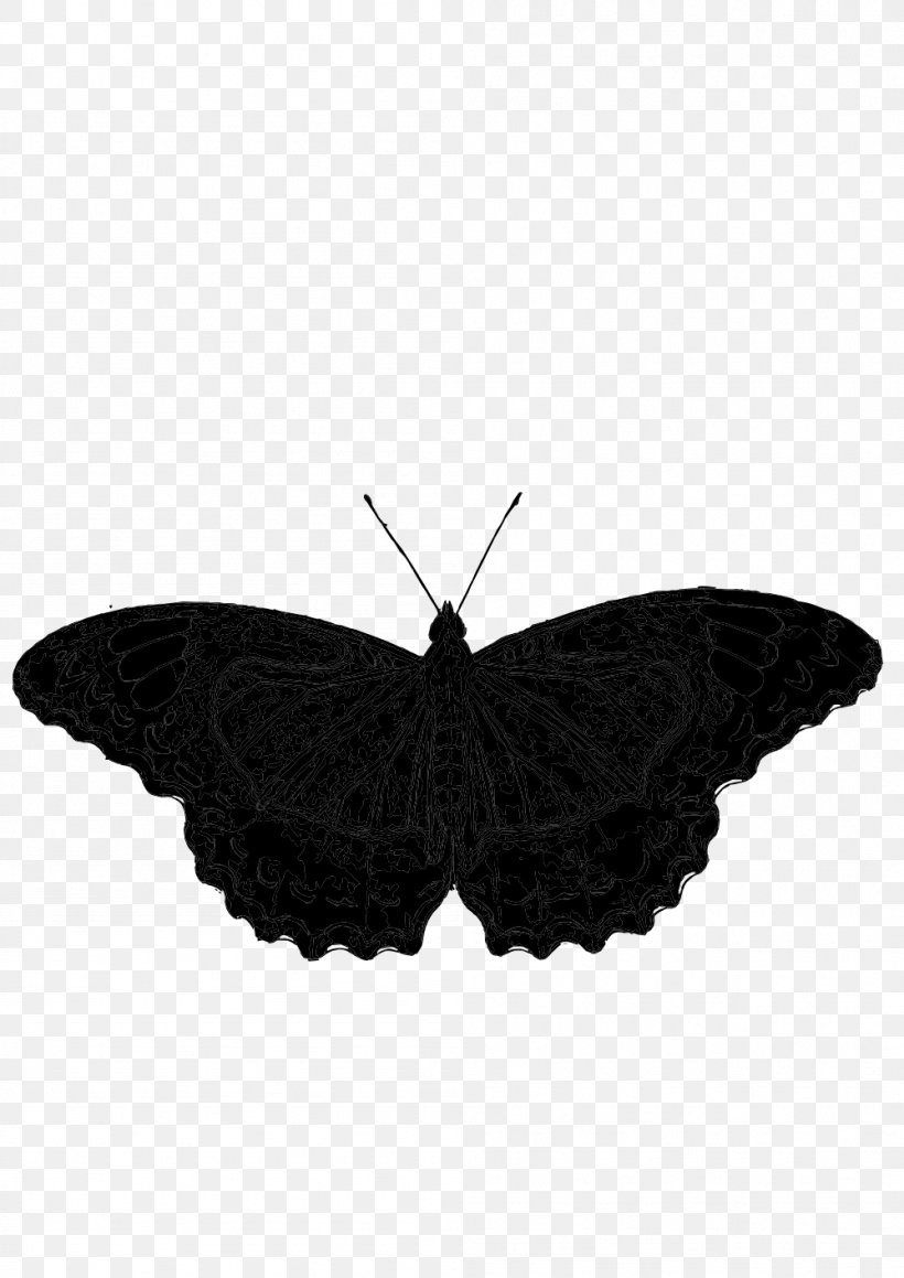 Butterfly Brush-footed Butterflies Insect Image, PNG, 999x1413px, Butterfly, Animal, Black, Borboleta, Brushfooted Butterflies Download Free