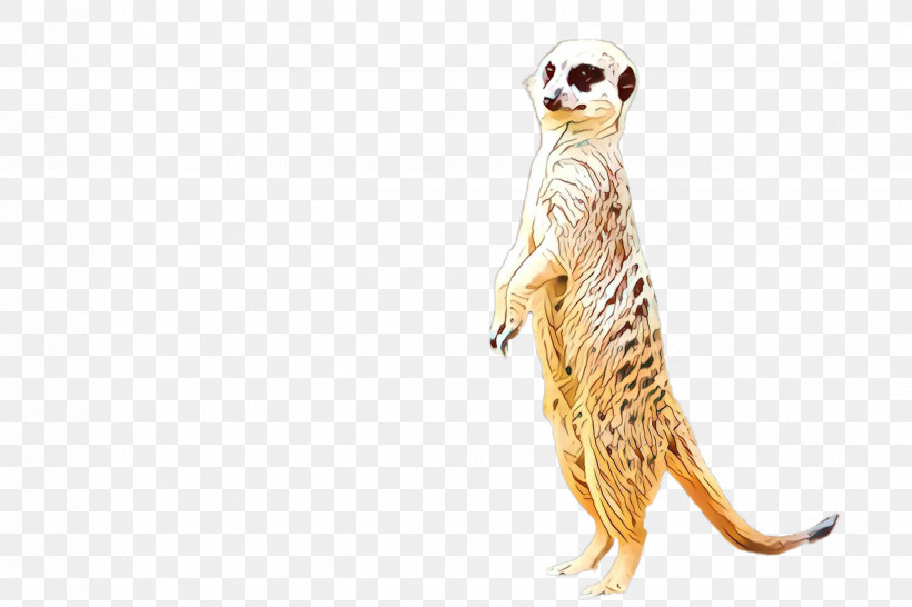 Meerkat Mongoose Tail Wildlife, PNG, 2448x1632px, Meerkat, Mongoose, Tail, Wildlife Download Free
