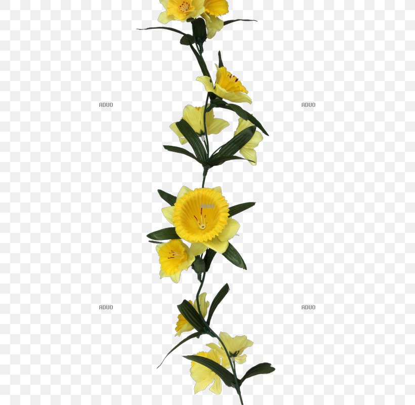 Floral Design Cut Flowers Rose Family Plant Stem, PNG, 800x800px, Floral Design, Cut Flowers, Family, Flora, Floristry Download Free