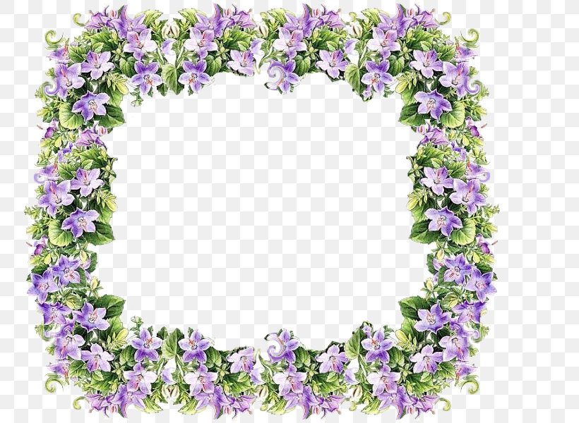 Lilac Violet Flower Lavender Purple, PNG, 800x600px, Lilac, Color, Floral Design, Flower, Flower Arranging Download Free