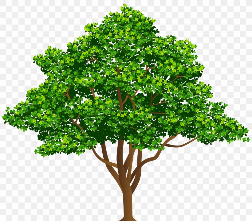 Tree Clip Art, PNG, 5000x4392px, Tree, Branch, Evergreen, Grass, Houseplant Download Free