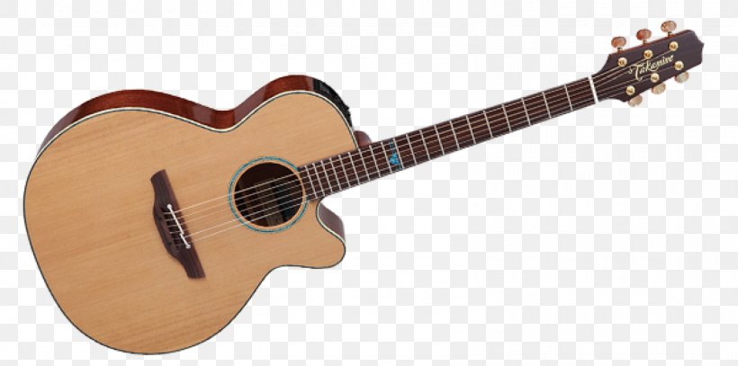 Twelve-string Guitar Takamine Guitars Acoustic-electric Guitar Acoustic Guitar, PNG, 1600x795px, Twelvestring Guitar, Acoustic Electric Guitar, Acoustic Guitar, Acoustic Music, Acousticelectric Guitar Download Free