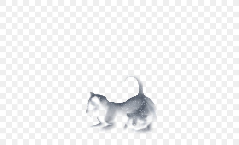 Whiskers Kitten Rat Dog White, PNG, 640x500px, Whiskers, Black, Black And White, Canidae, Carnivoran Download Free